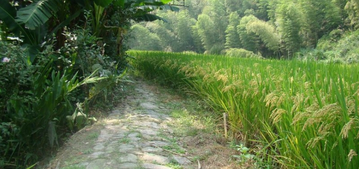 白云岩