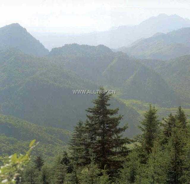 兴隆山国家级自然保护区