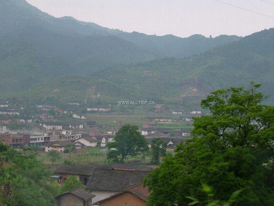 阳岭森林公园