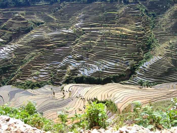 阿姆山