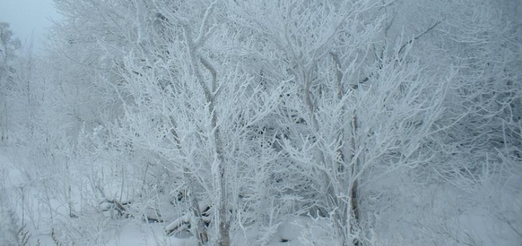 深圳到东北.山东旅游线路 哈尔滨亚布力滑雪.山东青岛旅游七天四飞品质团