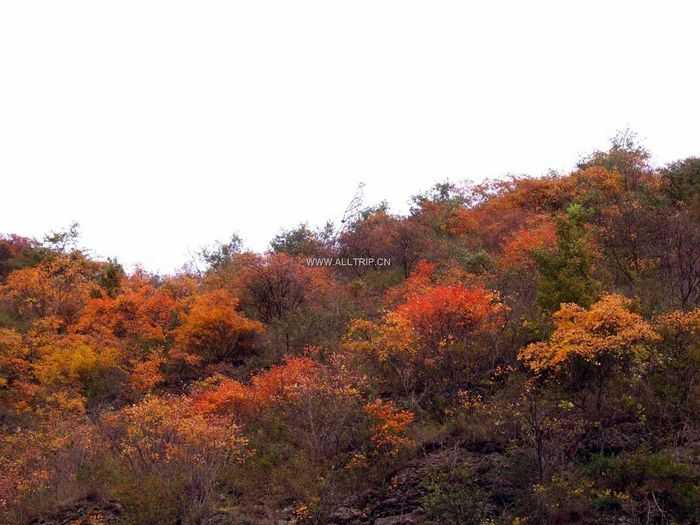 春节南京到西安、兵马俑、东汤峪温泉、陕西歌舞表演纯玩单飞五日