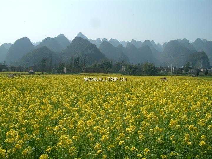 坡岗自然保护区