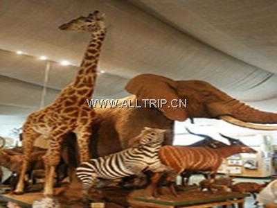 肯尼亚国家博物馆