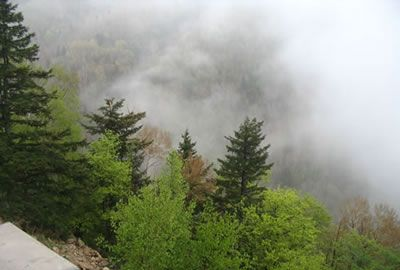 雾灵山森林公园
