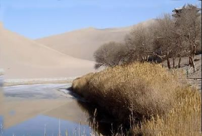 虎林月牙湖风景区