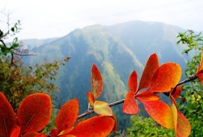 兴隆国家森林公园