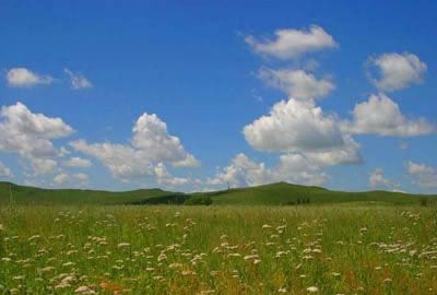 白音锡勒牧场景区