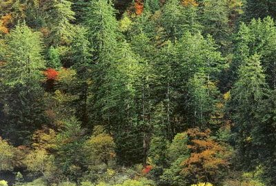 岗乡自然保护区