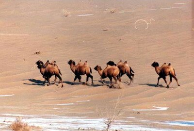 安南坝自然保护区