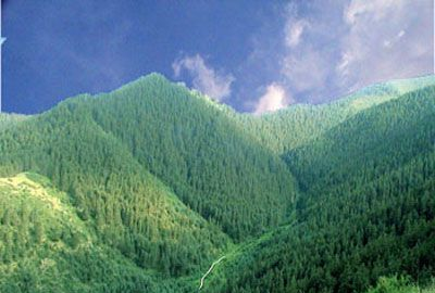 寿鹿山自然保护区