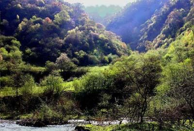 王朗大熊猫自然保护区