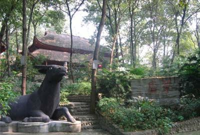 凤凰山森林公园