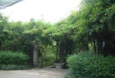 石洞花博园