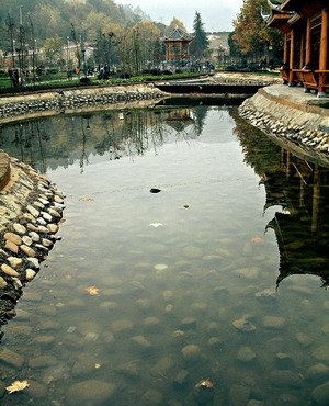 金泉公园