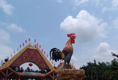 野生动物园