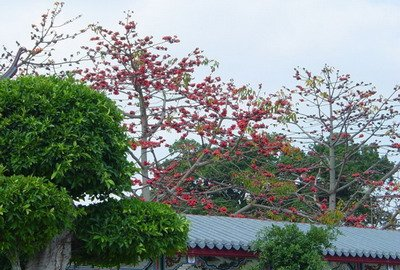 汕头旅游线路报价 深圳到汕头南澳岛二天团行程价格多少钱