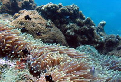 三亚深蓝深情潜水俱乐部