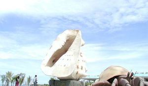 东、西玳瑁洲（西岛）