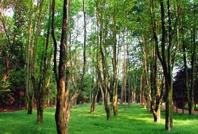 东台山国家森林公园