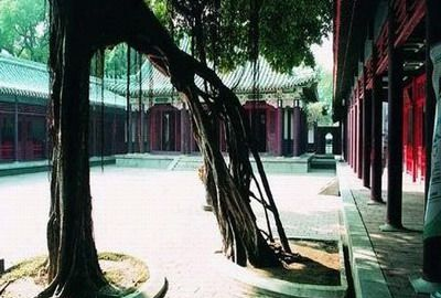 金门延平郡王祠
