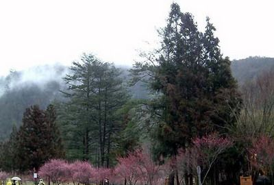 雪山坑