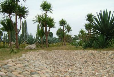 厦门园林植物园（万石山）