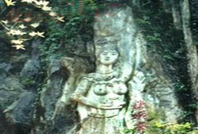 龙栖山自然保护区