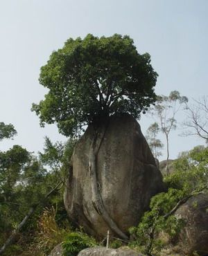九侯山胜景