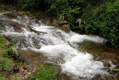 天目山旅游区