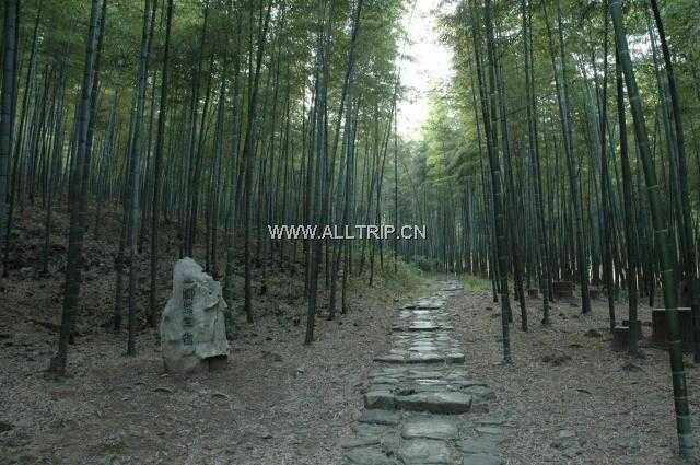 南山竹海旅游 南京出发溧阳南山竹海一日游