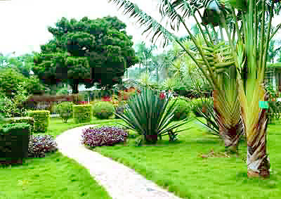 植物园
