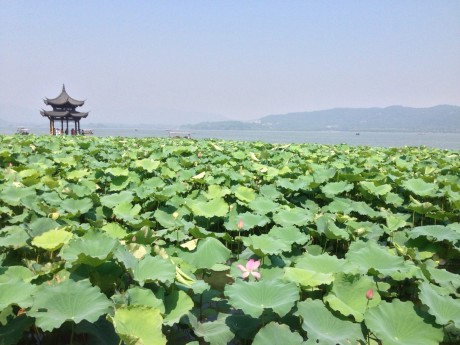 【千岛湖及周边】南京周边两日游：南京到千岛湖、富春江山水画廊、水乡西塘二日游