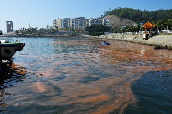 三门岛旅游费用:深圳到三门岛月亮湾沙滩两日游报价/公司团购