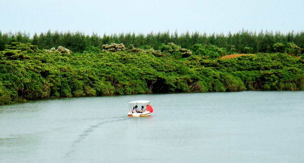 海上红树林