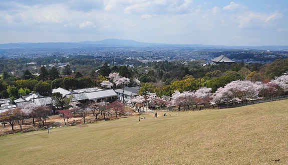 若草山