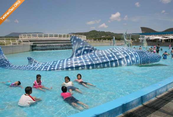 海洋生物博物馆