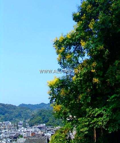 南华山