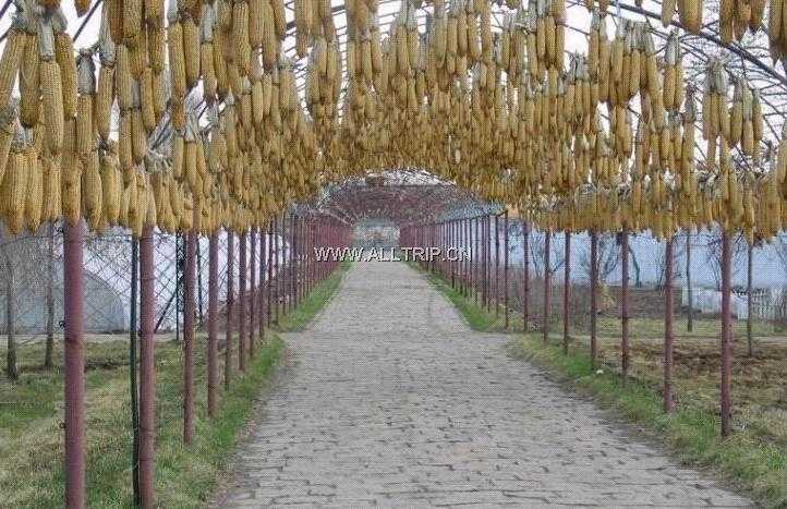 北方现代都市农业旅游示范园