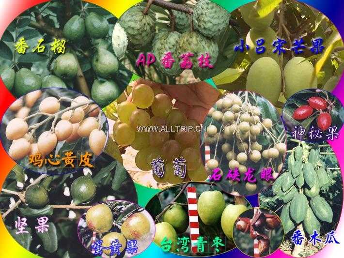 绿色世界生态农业旅游区