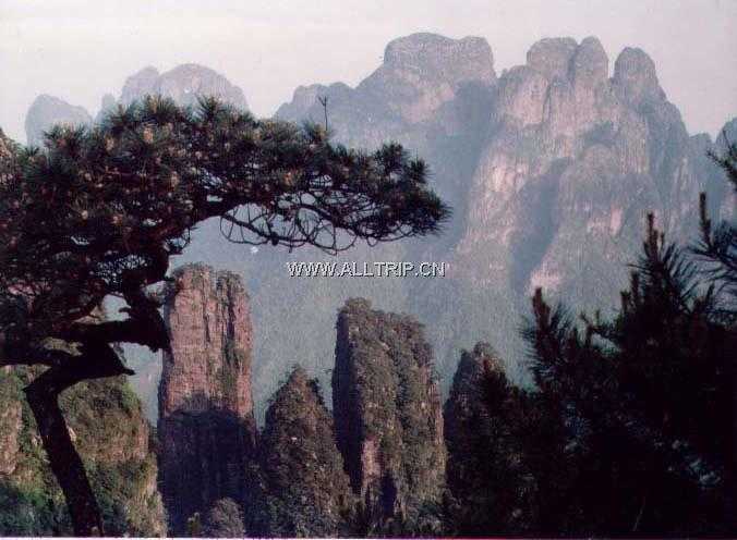 南宁到金秀旅游线路-金秀瑶都圣堂山、博物馆、瑶寨歌舞表演二日游-广西二日游费用