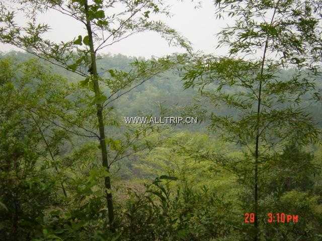 龙山
