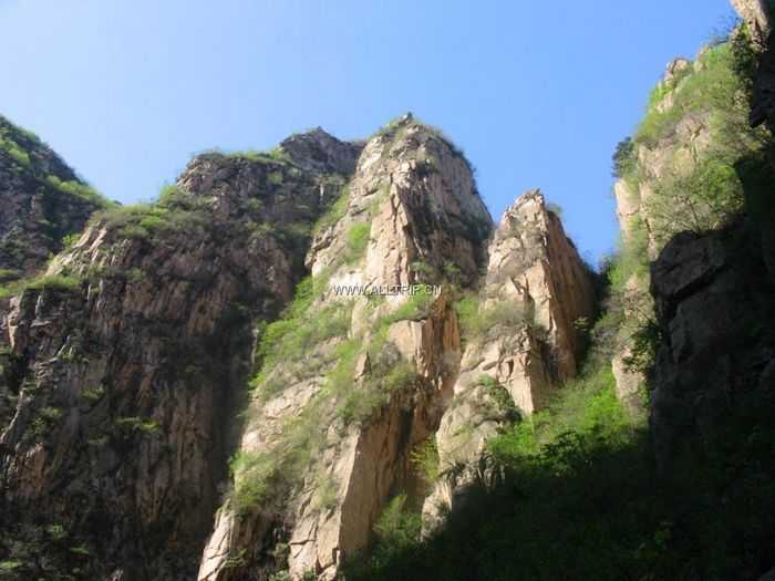 黄牛顶