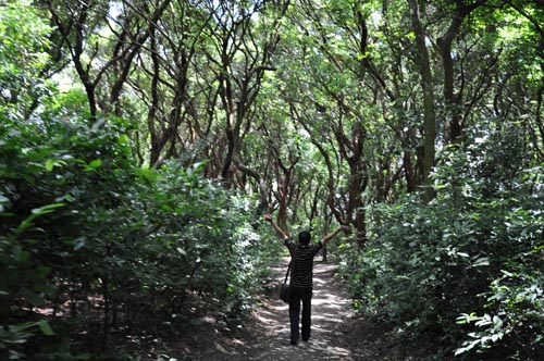 簕山古渔村