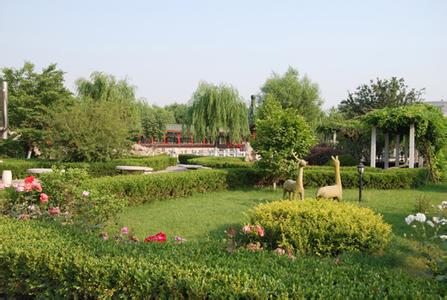 中心公园