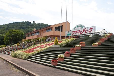 茨城县花卉公园