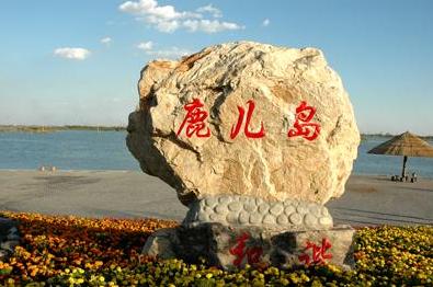 鹿儿岛鲜花公园