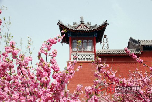 山寺