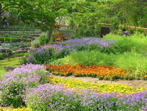 神户布引香草园