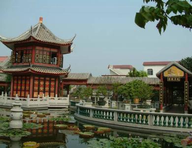 碧江金楼